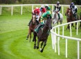 Programme Neuf LES TERRASSES DE L'HIPPODROME Garches