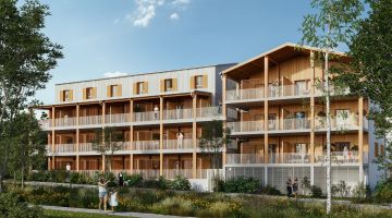 LES SARMENTS LES SARMENTS